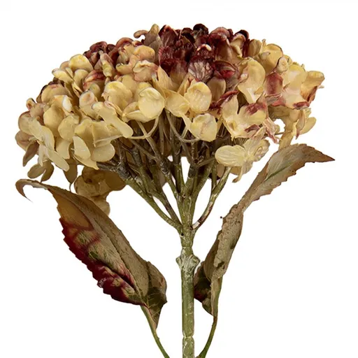 Růžová umělá dekorace sušená květina hortenzie - 15*15*47 cm Clayre & Eef