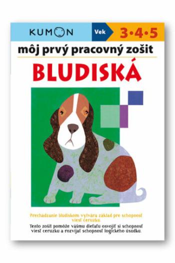 Môj prvý pracovný zošit Bludiská - Toshihiko Karakida, Yoshiko Murakami, Giovanni K. Moto