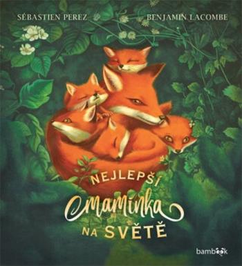 Nejlepší maminka na světě - Sébastien Perez, Benjamin Lacombe