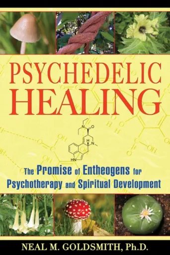 Psychedelic Healing - Neal M. Goldsmith