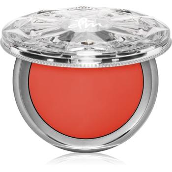 Danessa Myricks Beauty Dew Wet Balm rozjasňující balzám pro hydrataci a lesk odstín Sweet Water 9 g