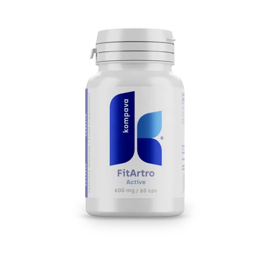 KOMPAVA Fit Artro Aktiv 600 mg/60 kps