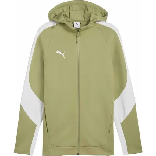 Puma TEAMEVOSTRIPE HOODED JACKET Pánská bunda, zelená, velikost
