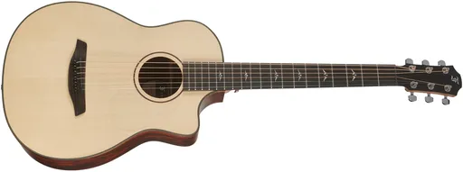 Furch Pioneer Exclusive EC CNR Active