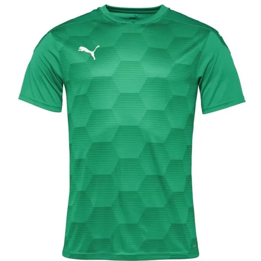 Puma TEAMFINAL 21 GRAPHIC JERSEY TEE Pánské sportovní triko, zelená, velikost