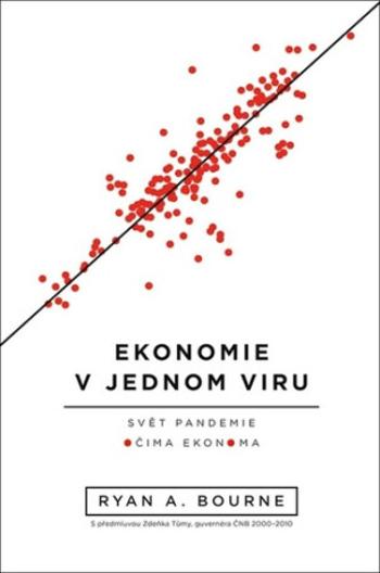 Ekonomie v jednom viru - Bourne Ryan