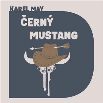 Černý mustang ()