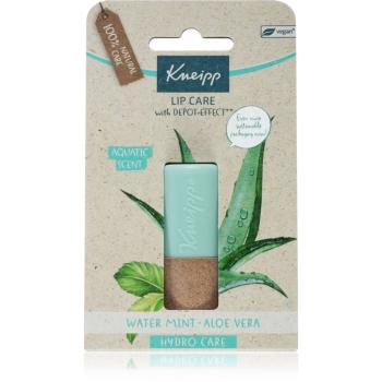 Kneipp Aloe Vera balzám na rty 4.7 g