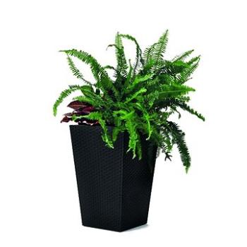 KETER Květináč RATTAN PLANTER S (228978)