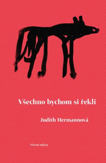 Všechno bychom si řekli - Judith Hermannová