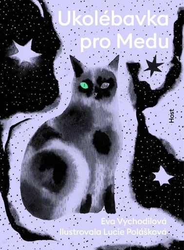 Ukolébavka pro Medu - Eva Vychodilová