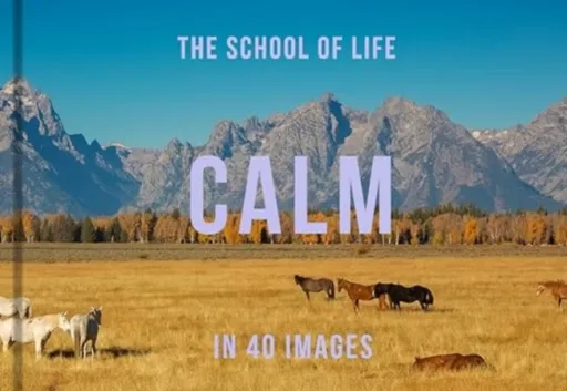 Calm in 40 Images - The School of Life