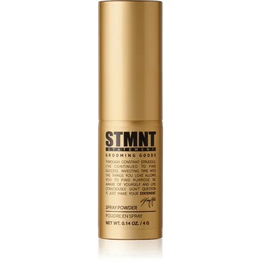 STMNT Staygold Spray Powder pudrový sprej pro definici a tvar 4 g