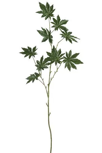 Okrasný list Papaya - 122cm J-Line by Jolipa