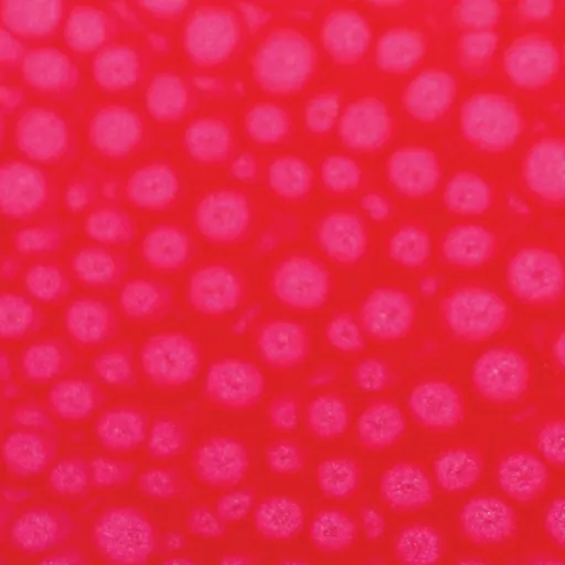 Barva Pébéo Fantasy Prisme 45ml – 62 Fluorescent pink