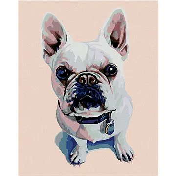 Diamondi - Diamantové malování - BÍLÝ BULDOČEK S MODRÝM OBOJKEM, 40x50 cm, Vypnuté plátno na rám (602374B)