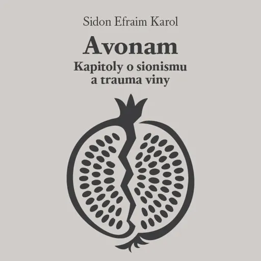 Avonam: Kapitoly o sionismu a trauma viny - Karol Efraim Sidon - audiokniha