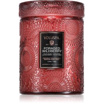 VOLUSPA Japonica Foraged Wildberry vonná svíčka 156 g