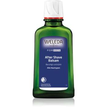 Weleda Men balzám po holení 100 ml