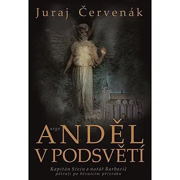 Anděl v podsvětí (9788025734643)