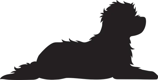 Vsepropejska Maltézský psík 3 dřevěná dekorace na zeď Rozměr (cm): 19 x 38