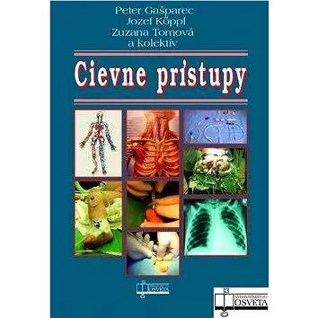 Cievne prístupy (978-80-8063-309-7)
