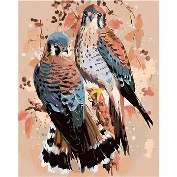 Malování podle čísel - Dvě poštolky (HRAmal00353nad)