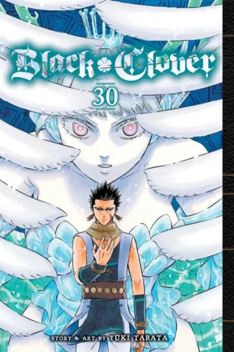 Black Clover, Vol. 30 - Yuki Tabata