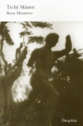 Tichý blázen - Rosa Montero, Jan Horáček