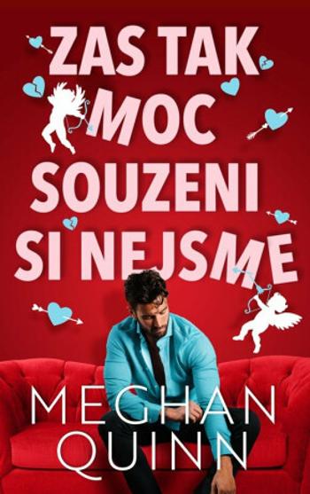 Zas tak moc souzeni si nejsme - Meghan Quinn