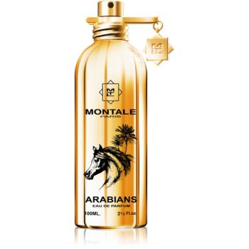 Montale Arabians parfémovaná voda unisex 100 ml