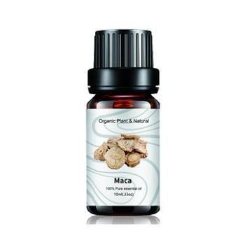 TaiChi Spa esenciální olej Maca 10ml - TSP054 (TSP054)