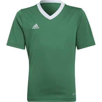 adidas ENTRADA 22 JERSEY Juniorský fotbalový dres, zelená, velikost