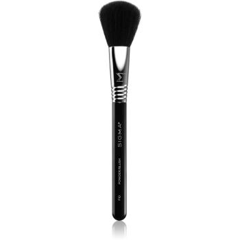 Sigma Beauty Face F10 Powder/Blush Brush štětec na pudr a tvářenku 1 ks