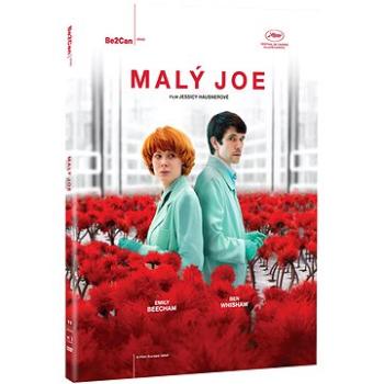 Malý Joe - DVD (N03336)