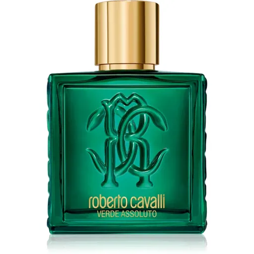 Roberto Cavalli Uomo Verde Assoluto parfémovaná voda pro muže 100 ml