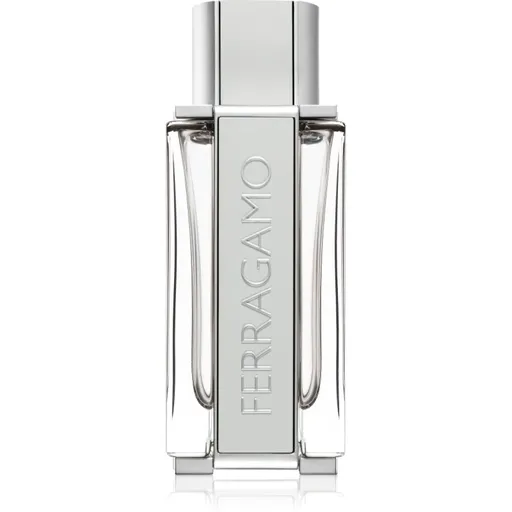 Ferragamo Ferragamo Bright Leather toaletní voda pro muže 100 ml