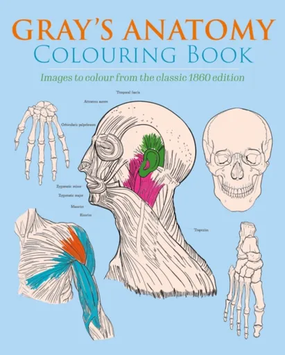 Gray's Anatomy Colouring Book - Henry Gray, Henry Carter