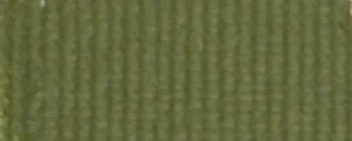 Olejová barva Extra 20ml – 18 Zem zelená olivová