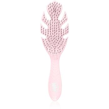 Wet Brush Go Green Go Green perie de par Pink