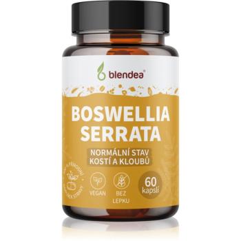 Blendea Boswellia Serrata kapsle pro podporu zdraví kostí a kloubů 60 cps