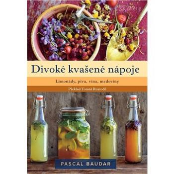 Divoké kvašené nápoje (978-80-271-3479-3)