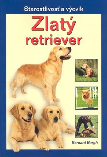 Zlatý retriever - Bernard Bargh