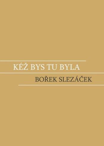 Kéž bys tu byla - Bořek Slezáček