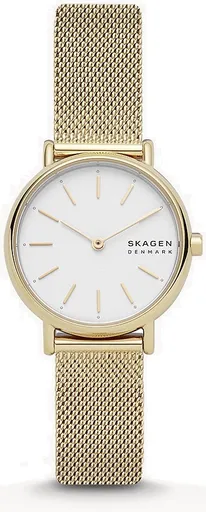 Skagen Signatur Lille SKW2693