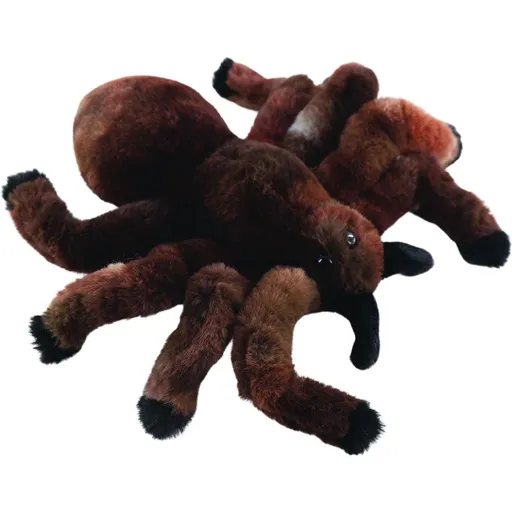 Pavouk sklípkan 19 cm