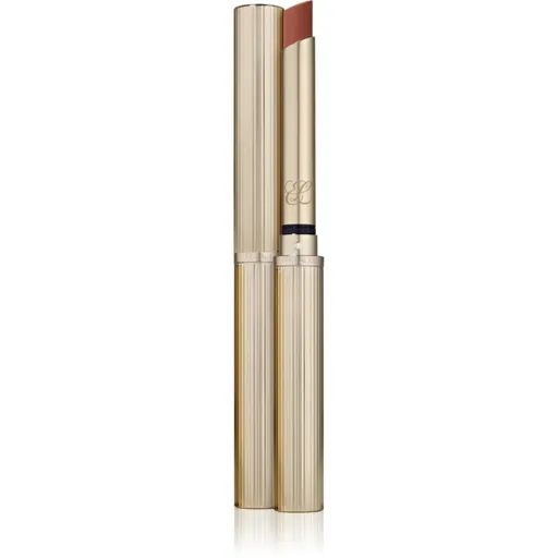 Estée Lauder Pure Color Explicit Matte Lipstick matná rtěnka odstín Ulterior Moves 1.8 g