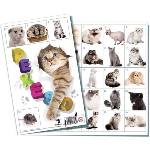 Bonaparte Pexeso 32 Kočky