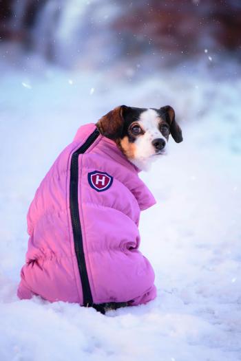 Vsepropejska Lira teplá kombinéza pro psa Barva: Růžová, Délka zad (cm): 34, Obvod hrudníku: 36 - 61 cm