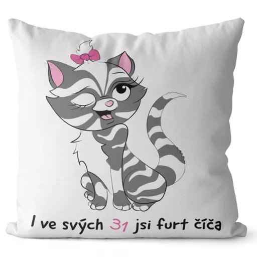 Polštář Jsi číča (Velikost: 40 x 40 cm, věk: 31)